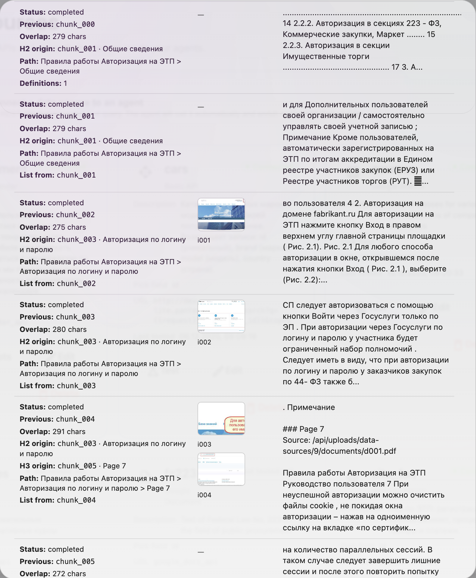 Chunks preview with metadata and illustrations